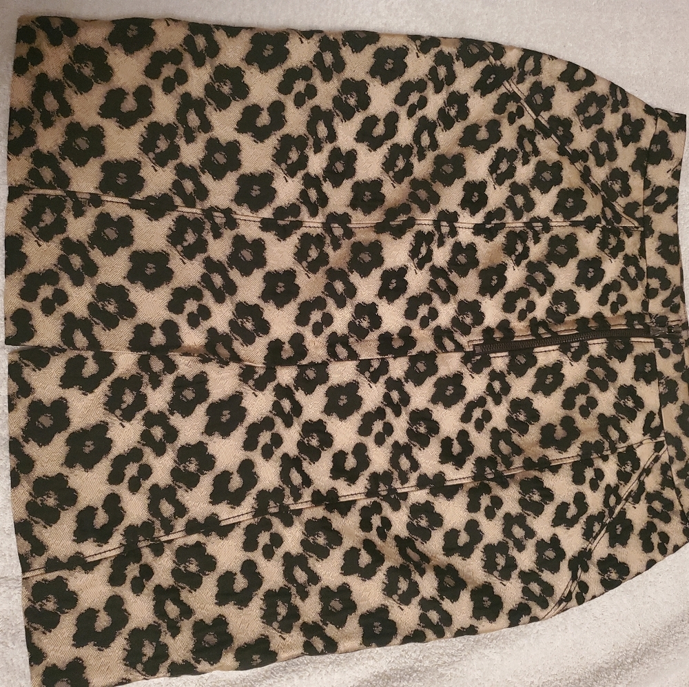 Ann Taylor skirt
